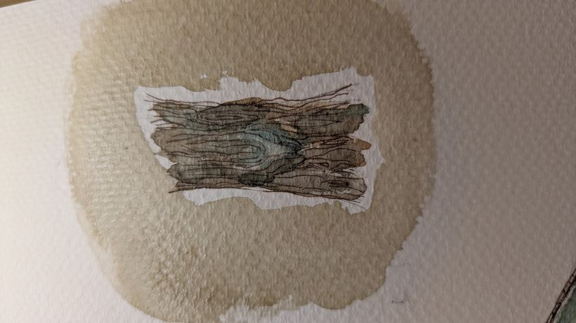 Watercolor concept art of a goat-like face hidden in tree bark
